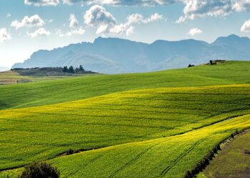 Growing for the Future: Sustainable Farming Practices for a Greener Tomorrow