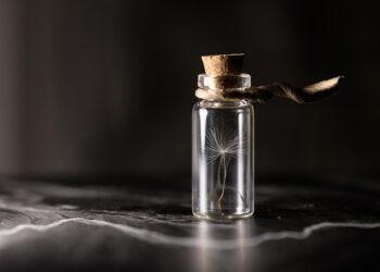 Preserving Our Green Legacy: The Urgency of Forest Conservation