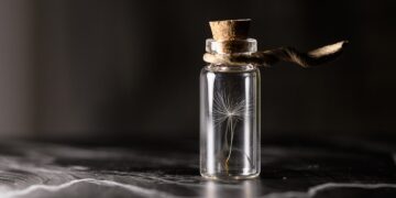 Preserving Our Green Legacy: The Urgency of Forest Conservation