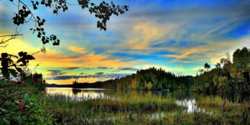 Guardians of the Wild: Strategies for Preserving Fragile Ecosystems