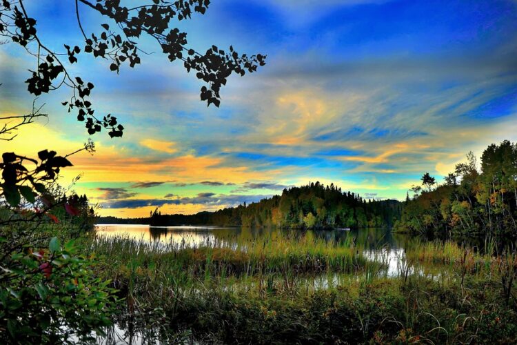 Guardians of the Wild: Strategies for Preserving Fragile Ecosystems