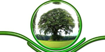 Guardians of the Wild: Preserving Endangered Species for Future Generations