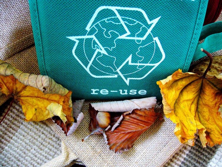 Unlocking the Environmental Power of Recycling: How Recycling Benefits Our Planet