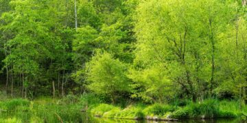 Preserving Our Planet: The Urgent Call for Conservation Awareness